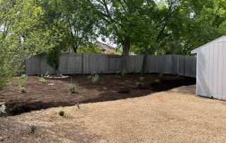 Native Landscape, Austin, Texas